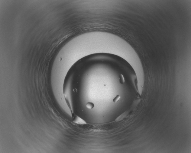 X0000076380360200611031635