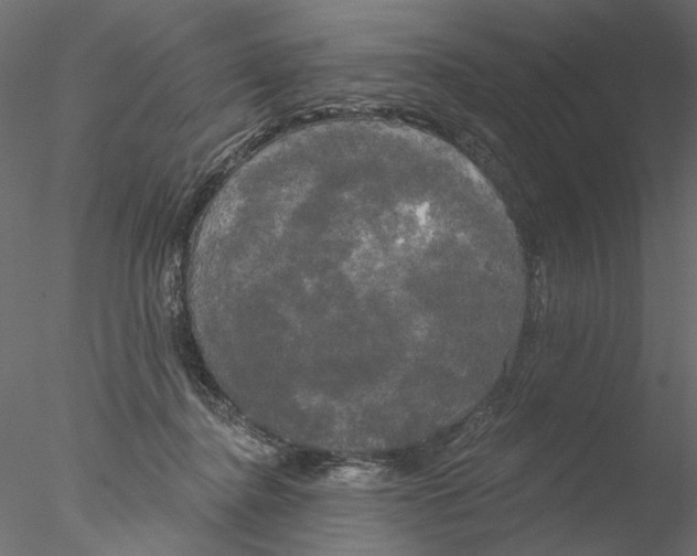 X0000076380364200611031635