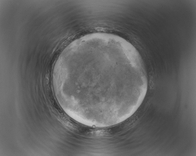 X0000076380365200611031635