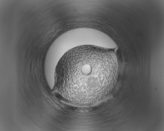 X0000076380368200611031635