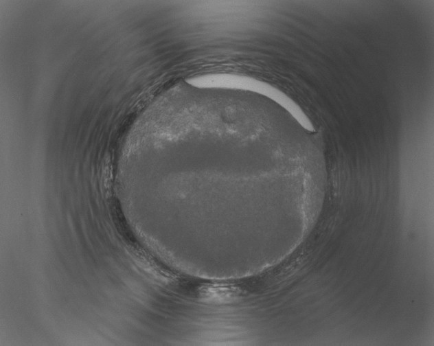 X0000076380372200611031635