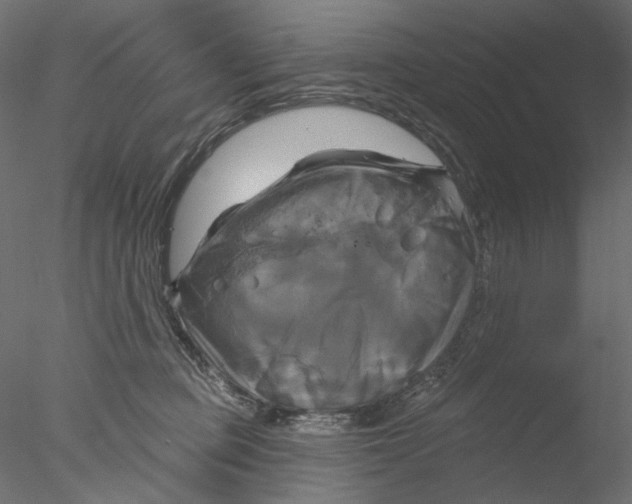 X0000076380373200611031635