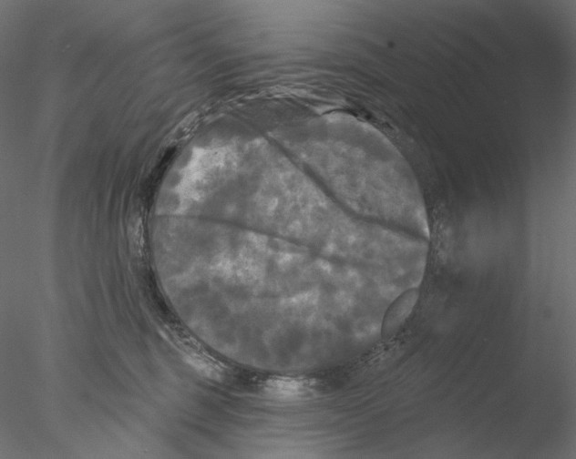 X0000076380375200611031635