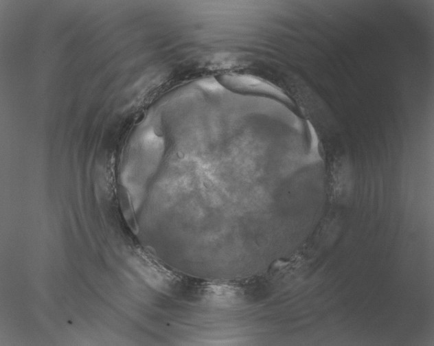 X0000076380376200611031636