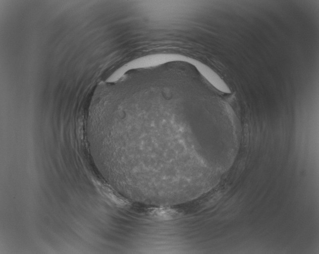 X0000076380379200611031636