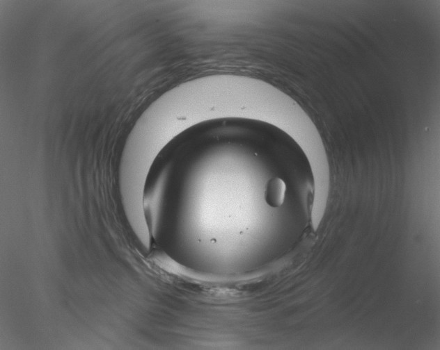 X0000076380380200611031636