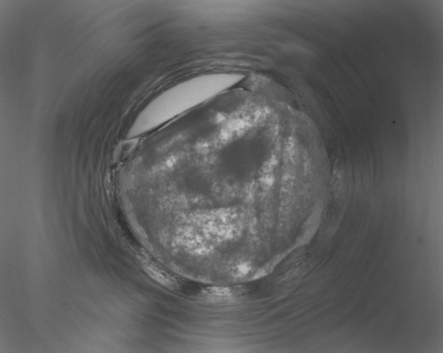 X0000076380381200611031636