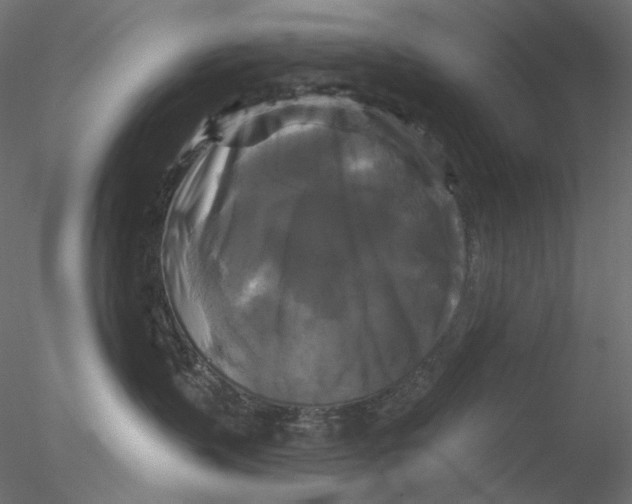 X0000076380383200611031636