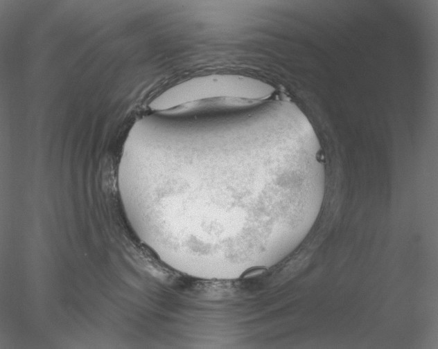 X0000076380384200611031636