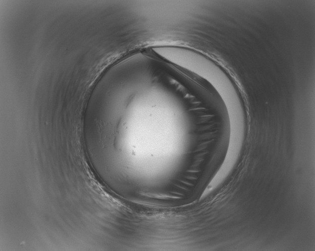 X0000076380385200611031635