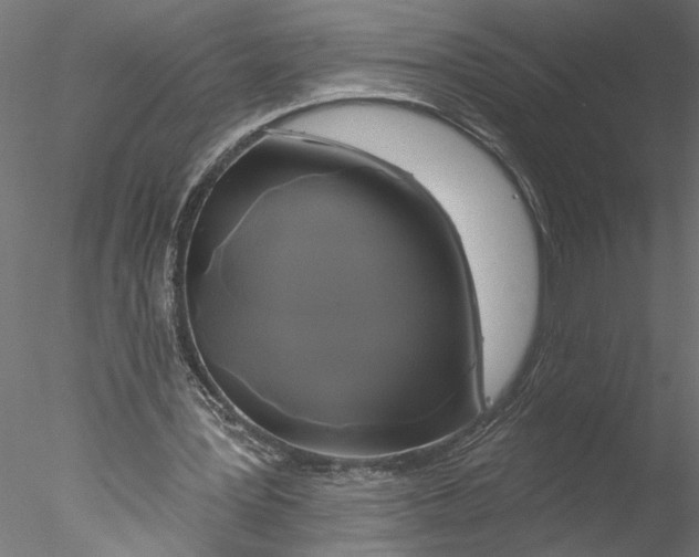 X0000076380387200611031635