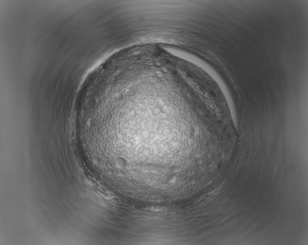 X0000076380388200611031635