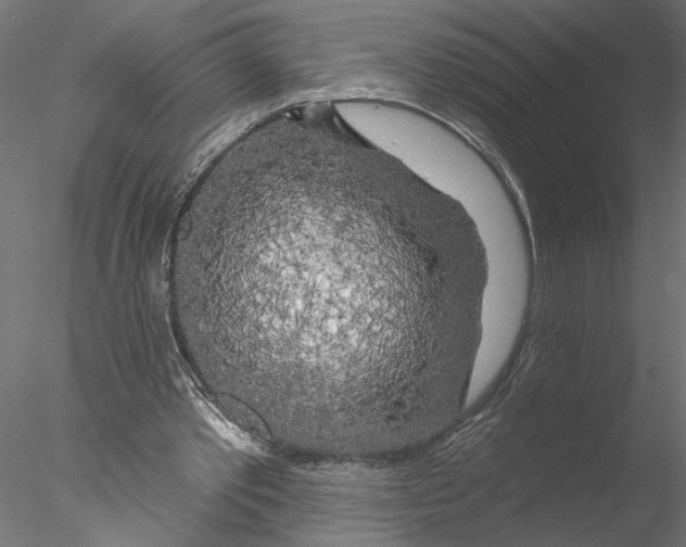 X0000076380389200611031635