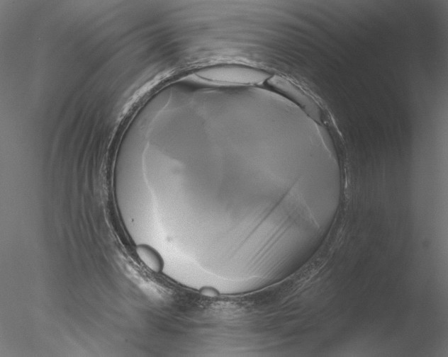 X0000076380390200611031635