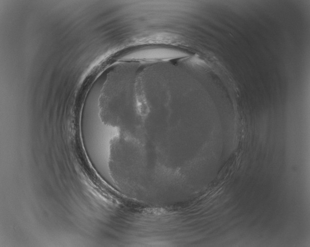 X0000076380392200611031635