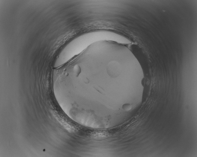 X0000076380402200611031635