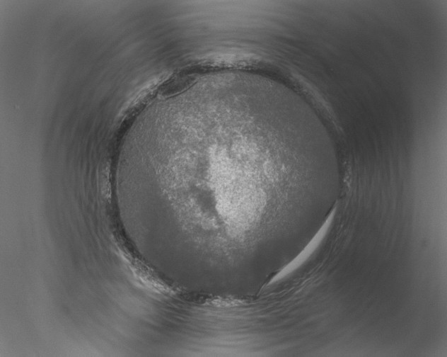 X0000076380403200611031635