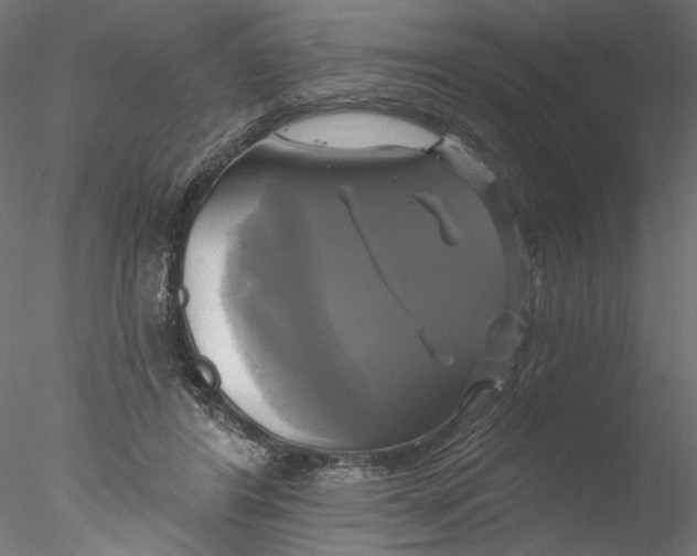 X0000076380404200611031635