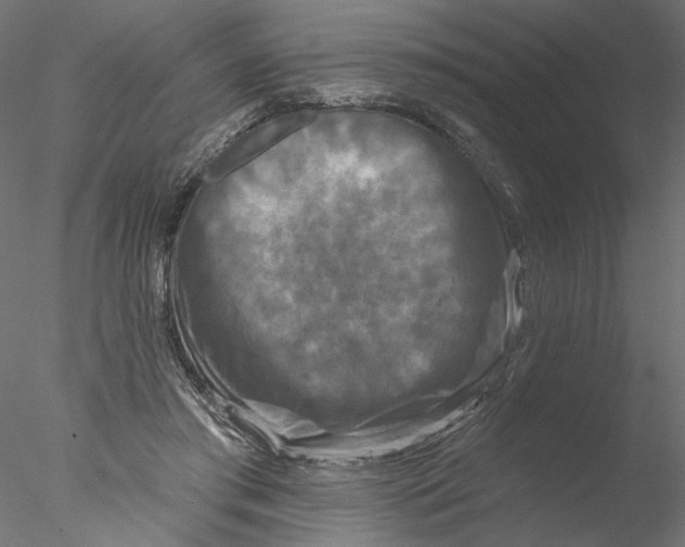 X0000076380405200611031635