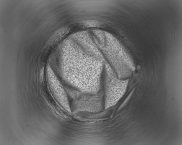 X0000076380406200611031634