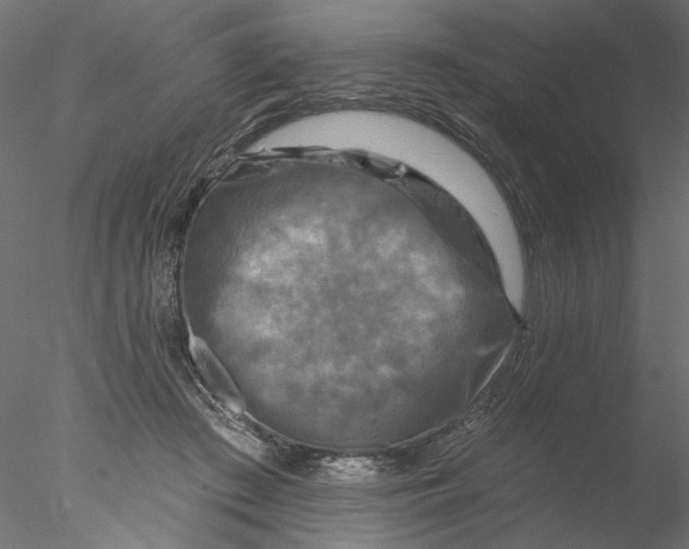 X0000076380409200611031634