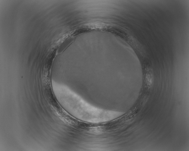 X0000076380411200611031634