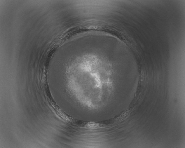 X0000076380413200611031634