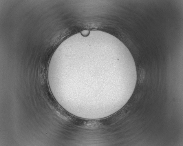 X0000076380414200611031634