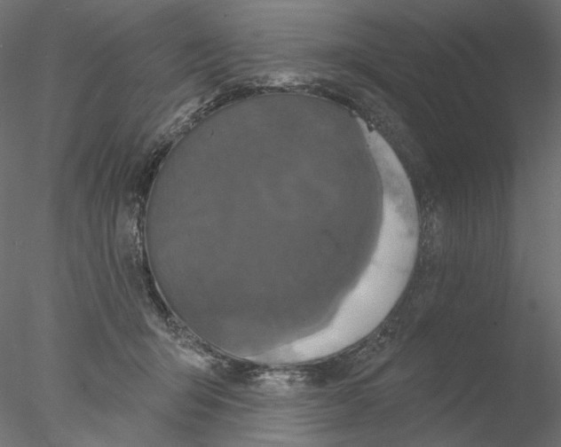 X0000076380415200611031634