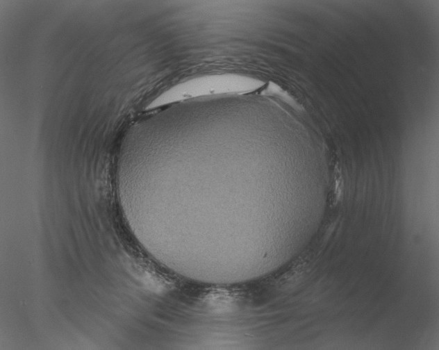 X0000076380416200611031634