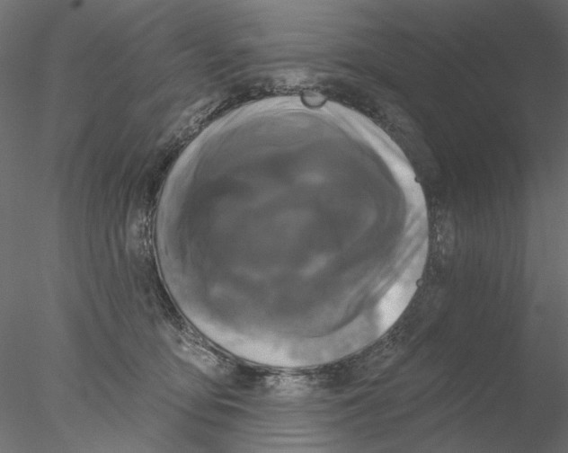 X0000076380419200611031634