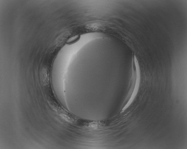 X0000076380420200611031634