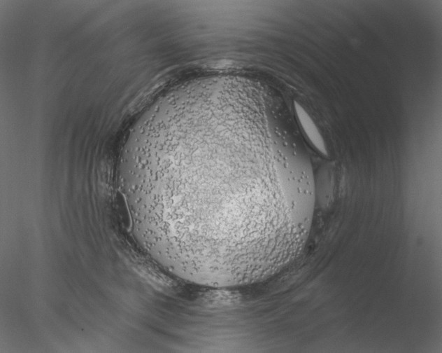 X0000076380421200611031634