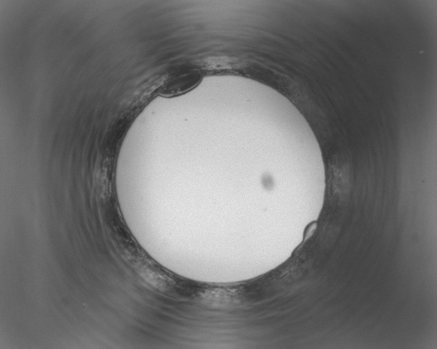 X0000076380422200611031634