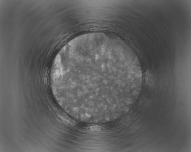 X0000076380423200611031634