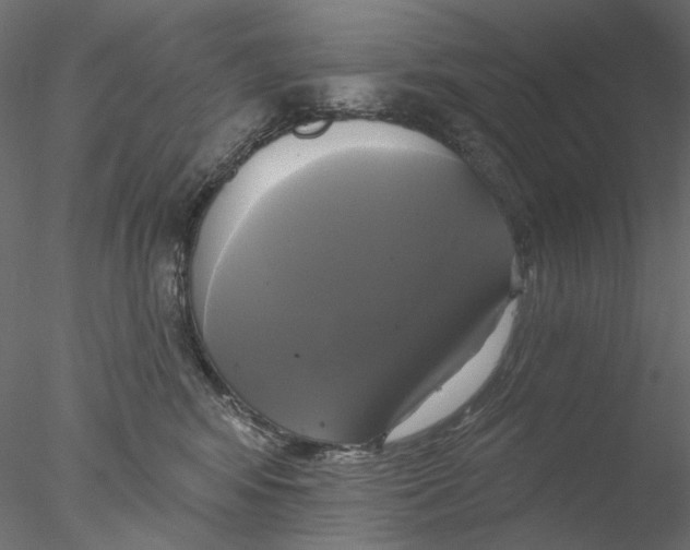 X0000076380424200611031634