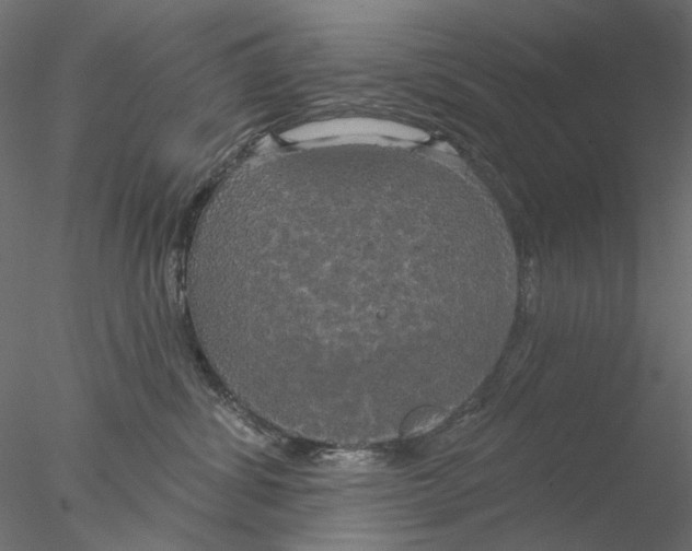 X0000076380428200611031634