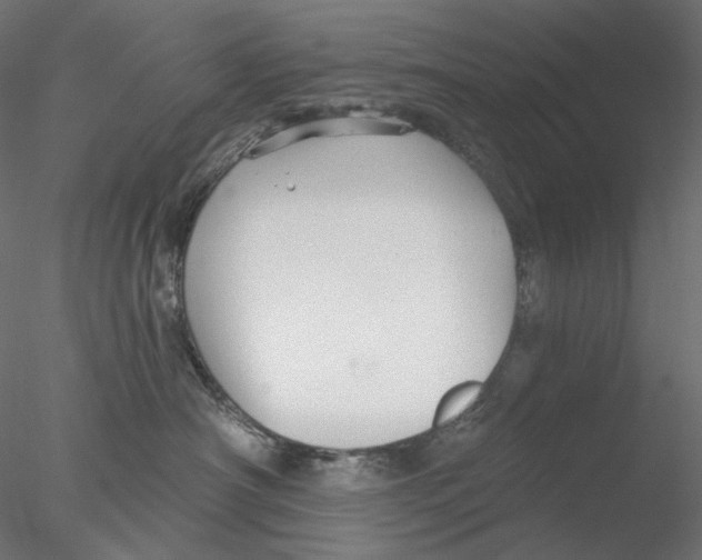 X0000076380430200611031634