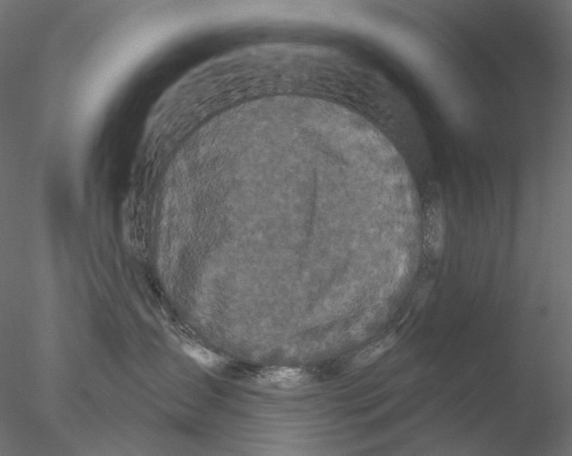 X0000076380431200611031634