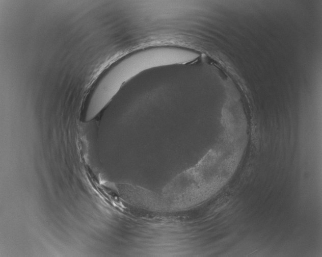 X0000076380434200611031633