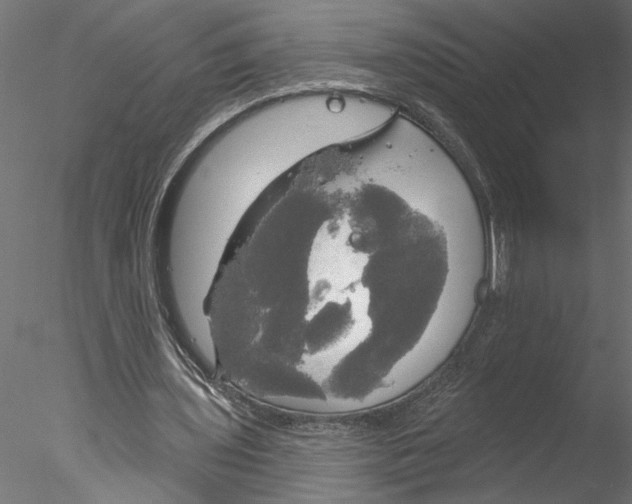 X0000076380435200611031633