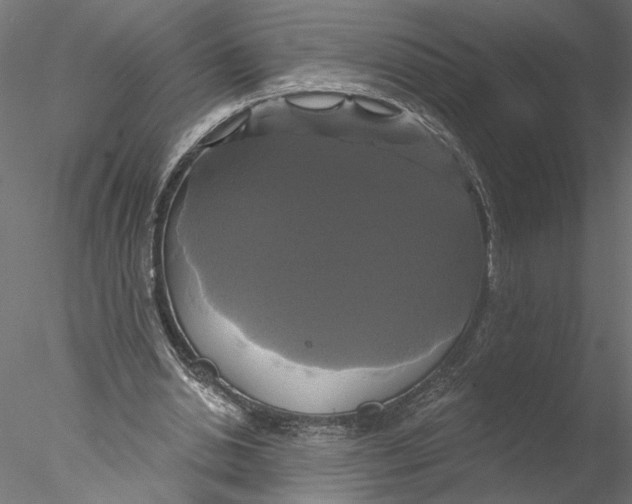 X0000076380438200611031633