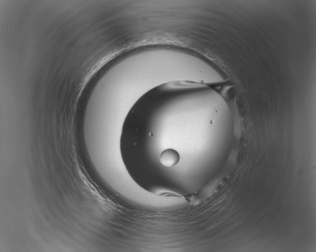 X0000076380440200611031633