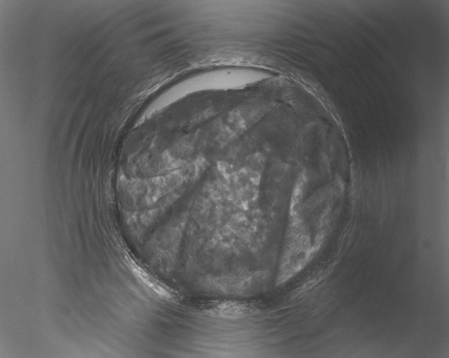 X0000076380441200611031633