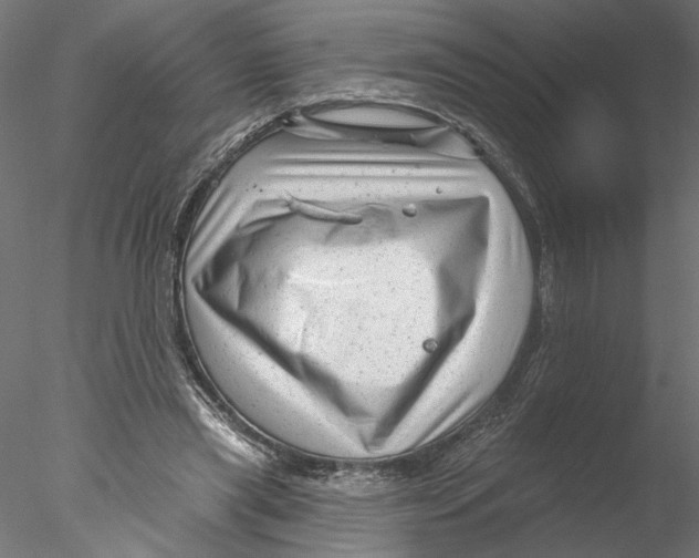 X0000076380445200611031633