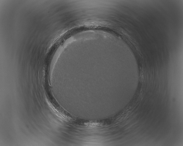 X0000076380448200611031633