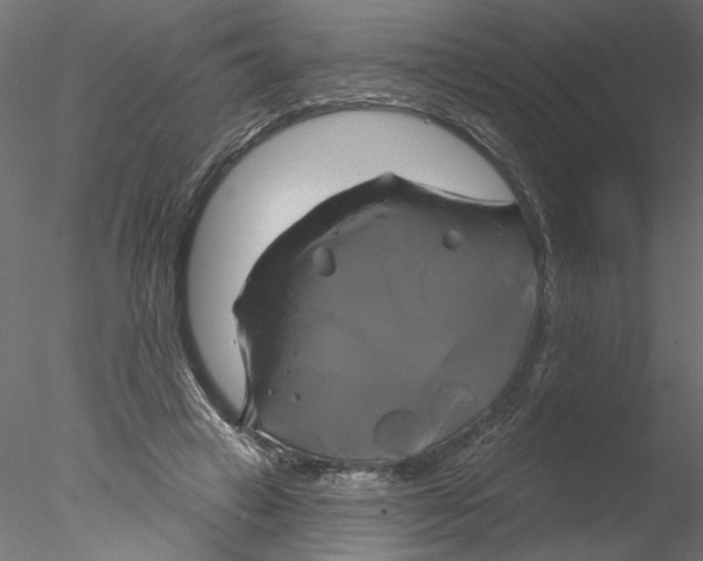 X0000076380449200611031634