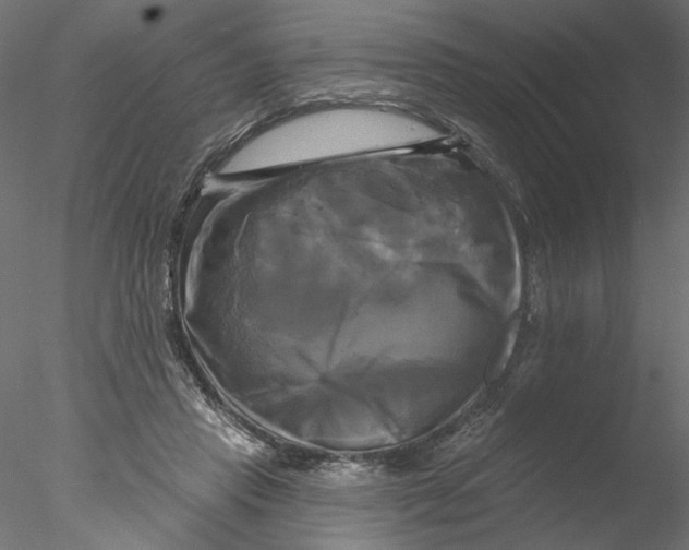 X0000076380453200611031634