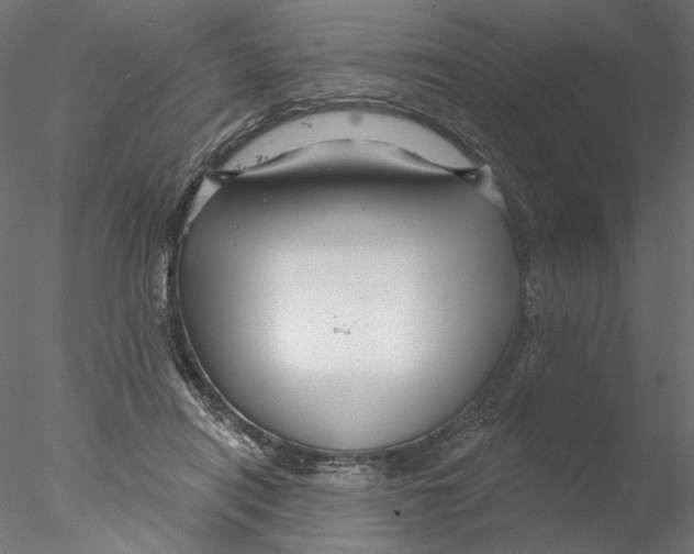 X0000076380454200611031634