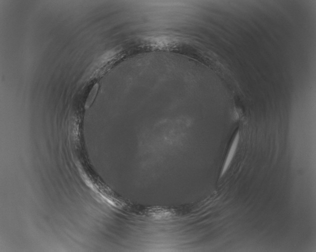 X0000076380456200611031634